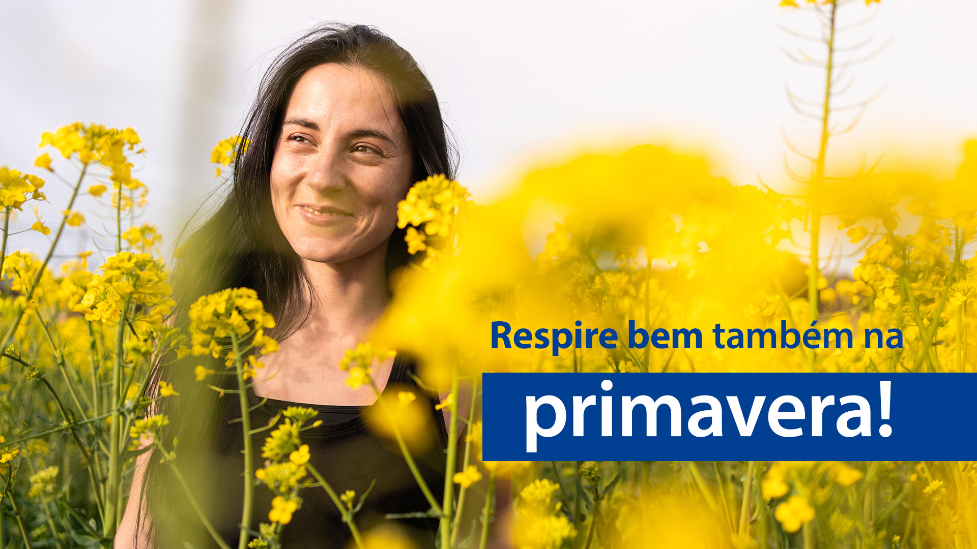 Leia mais sobre o artigo Como lidar com alergias respiratórias e cuidados com pólen na primavera 